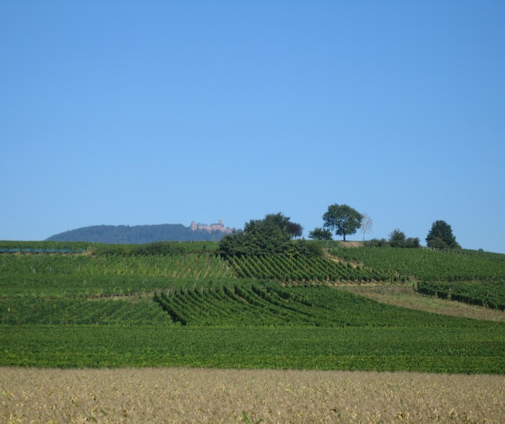 Rotenberg de loin